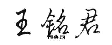 骆恒光王铭君行书个性签名怎么写