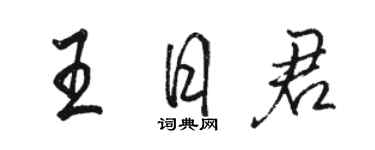 骆恒光王日君行书个性签名怎么写
