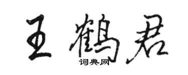 骆恒光王鹤君行书个性签名怎么写