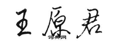 骆恒光王原君行书个性签名怎么写