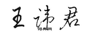 骆恒光王讳君行书个性签名怎么写