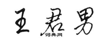 骆恒光王君男行书个性签名怎么写