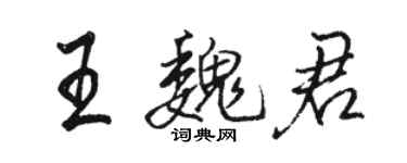 骆恒光王魏君行书个性签名怎么写