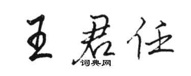 骆恒光王君任行书个性签名怎么写