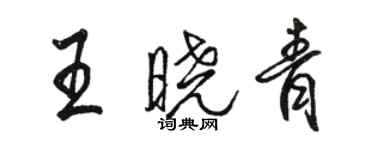 骆恒光王晓青行书个性签名怎么写