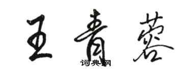 骆恒光王青蓉行书个性签名怎么写