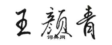 骆恒光王颜青行书个性签名怎么写