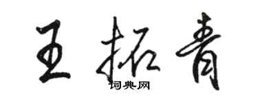 骆恒光王拓青行书个性签名怎么写