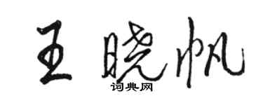 骆恒光王晓帆行书个性签名怎么写