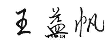 骆恒光王益帆行书个性签名怎么写