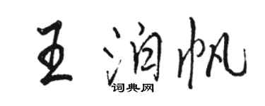 骆恒光王泊帆行书个性签名怎么写