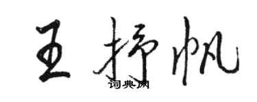 骆恒光王抒帆行书个性签名怎么写