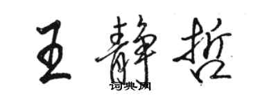 骆恒光王静哲行书个性签名怎么写
