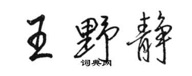 骆恒光王野静行书个性签名怎么写