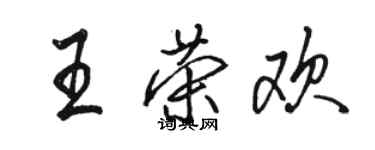 骆恒光王荣欢行书个性签名怎么写