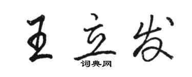 骆恒光王立发行书个性签名怎么写
