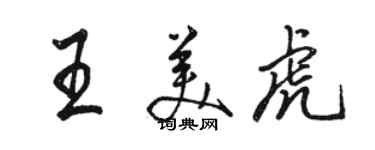 骆恒光王美虎行书个性签名怎么写