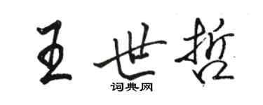 骆恒光王世哲行书个性签名怎么写