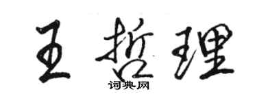骆恒光王哲理行书个性签名怎么写