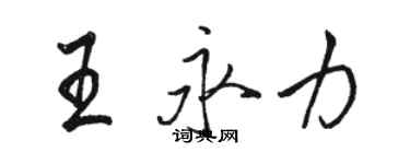 骆恒光王永力行书个性签名怎么写