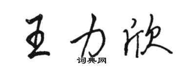 骆恒光王力欣行书个性签名怎么写