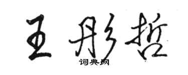 骆恒光王彤哲行书个性签名怎么写