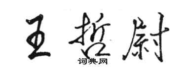 骆恒光王哲尉行书个性签名怎么写