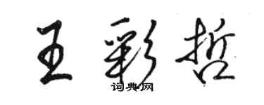 骆恒光王彩哲行书个性签名怎么写