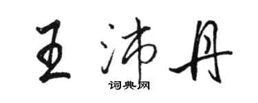 骆恒光王沛丹行书个性签名怎么写
