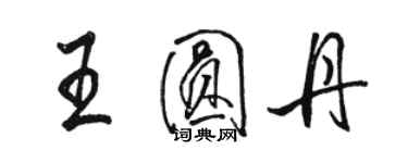 骆恒光王圆丹行书个性签名怎么写