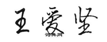 骆恒光王爱坚行书个性签名怎么写