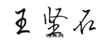 骆恒光王坚石行书个性签名怎么写