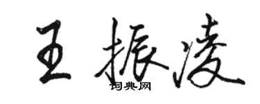 骆恒光王振凌行书个性签名怎么写