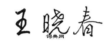 骆恒光王晓春行书个性签名怎么写