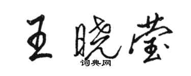 骆恒光王晓莹行书个性签名怎么写