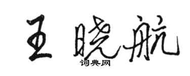 骆恒光王晓航行书个性签名怎么写
