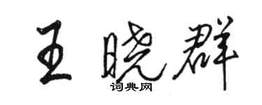 骆恒光王晓群行书个性签名怎么写