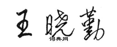 骆恒光王晓勤行书个性签名怎么写
