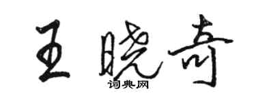 骆恒光王晓奇行书个性签名怎么写