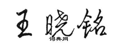 骆恒光王晓铭行书个性签名怎么写