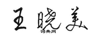 骆恒光王晓美行书个性签名怎么写