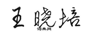骆恒光王晓培行书个性签名怎么写