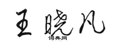 骆恒光王晓凡行书个性签名怎么写