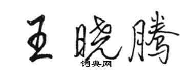 骆恒光王晓腾行书个性签名怎么写