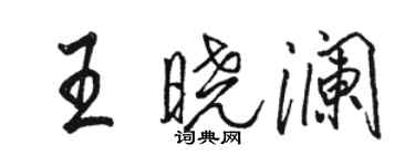 骆恒光王晓澜行书个性签名怎么写