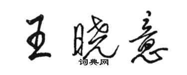 骆恒光王晓意行书个性签名怎么写