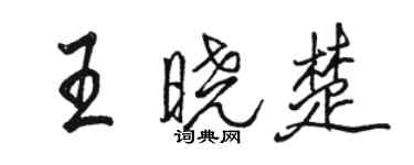 骆恒光王晓楚行书个性签名怎么写