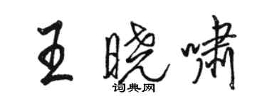 骆恒光王晓啸行书个性签名怎么写