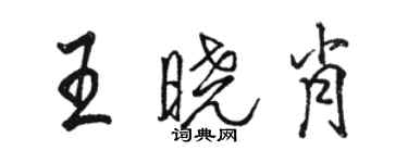 骆恒光王晓肖行书个性签名怎么写
