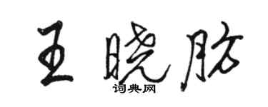 骆恒光王晓肪行书个性签名怎么写